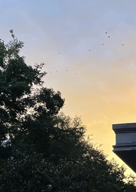 什么东西才能让鱼上钩